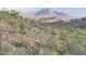 Scenic desert lot with mountain views and cacti at 15414 E Westridge Dr, Fountain Hills, AZ 85268