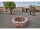 Backyard with fire pit, fruit trees, and storage shed at 4648 S Emery --, Mesa, AZ 85212