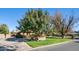 Landscaped front yard with mature trees and a brick driveway at 8280 S Pecan Grove Cir, Tempe, AZ 85284