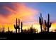 Stunning desert sunset with silhouetted saguaro cacti at 14501 N Lark Ct, Fountain Hills, AZ 85268