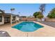 Inviting kidney-shaped pool with large backyard at 2407 E Encanto St, Mesa, AZ 85213