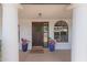 Elegant entryway with decorative door, potted plants, and classic columns at 250 E Voltaire Ave, Phoenix, AZ 85022