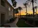 Pathway with palm trees leading to lake at sunset at 3830 E Lakewood Pkwy # 1166, Phoenix, AZ 85048