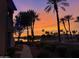 Stunning sunset over the lake, palm trees at 3830 E Lakewood Pkwy # 1166, Phoenix, AZ 85048