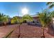 Large backyard with gravel and mature palm trees at 521 W Jardin Loop, Casa Grande, AZ 85122