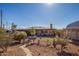 Landscaped backyard with a stone pathway and artificial turf at 617 S Camino Saguaro --, Apache Junction, AZ 85119