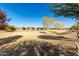 Community park with grassy areas and trees at 40108 W Crane Dr, Maricopa, AZ 85138