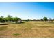 Vast grassy park area with a gazebo and mature trees at 40108 W Crane Dr, Maricopa, AZ 85138