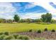 Scenic park with grassy areas, playground, and mature trees at 40108 W Crane Dr, Maricopa, AZ 85138