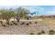 Community playground with play structures at 40108 W Crane Dr, Maricopa, AZ 85138