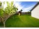 Large backyard with grassy lawn and playset at 615 E Winter Dr, Phoenix, AZ 85020