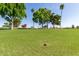 Green grass golf course with trees and a hole at 12510 W Brandywine Dr, Sun City West, AZ 85375