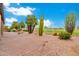 Landscaped backyard with cactus plants, brick pavers, and golf course view at 25037 S Ribbonwood Dr, Sun Lakes, AZ 85248