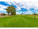 Green golf course with trees, and residential homes in background at 25037 S Ribbonwood Dr, Sun Lakes, AZ 85248