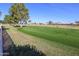 Scenic view of a lush green golf course at 25037 S Ribbonwood Dr, Sun Lakes, AZ 85248