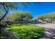 Landscaped backyard with a grassy area and a swimming pool at 29306 N 70Th Way, Scottsdale, AZ 85266