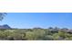 Scenic view of community with desert landscape and mountain backdrop at 29360 N 108Th Pl, Scottsdale, AZ 85262