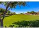 Expansive green lawn area in a community park at 3038 E Waterman Way, Gilbert, AZ 85297