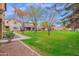 View of community green space with trees and walkways at 3667 E Angstead Ct, Gilbert, AZ 85296