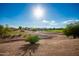 View of a manicured golf course with homes and landscaping visible at 6616 S Bridal Vail Dr, Gilbert, AZ 85298