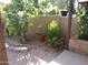 Landscaped area with trees, plants, and rock features at 9543 E Palomino Pl, Sun Lakes, AZ 85248