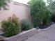 Landscaped yard with various plants and shrubs at 9543 E Palomino Pl, Sun Lakes, AZ 85248