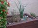 Rectangular wooden planter with various plants at 9543 E Palomino Pl, Sun Lakes, AZ 85248