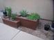 Landscaped yard with two raised garden bed planters at 9543 E Palomino Pl, Sun Lakes, AZ 85248