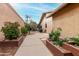 Landscaped side yard with pathway and planter boxes at 9543 E Palomino Pl, Sun Lakes, AZ 85248