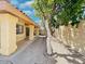 Covered patio, walkway and a tree in the backyard at 9992 E Carol Ave, Scottsdale, AZ 85258