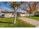 Single story home with green lawn and driveway at 1001 N Burk St, Gilbert, AZ 85234