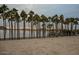 Row of palm trees along the lake, providing shade and beauty at 17427 W Rock Wren Ct, Goodyear, AZ 85338