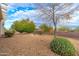 Landscaped backyard with desert plants and gravel at 18135 N Saddle Ridge Dr, Surprise, AZ 85374