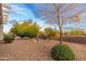 Landscaped backyard with desert plants and gravel at 18135 N Saddle Ridge Dr, Surprise, AZ 85374