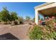 Landscaped backyard with desert plants at 21532 N 262Nd Ln, Buckeye, AZ 85396