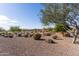 Landscaped community with desert plants and lake at 21532 N 262Nd Ln, Buckeye, AZ 85396