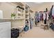 Large walk-in closet with ample shelving and hanging space at 21532 N 262Nd Ln, Buckeye, AZ 85396