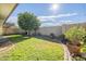 Sunny backyard with grass, a mature orange tree, and a storage shed at 2911 W Lamar Rd, Phoenix, AZ 85017