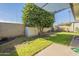 Backyard with a storage shed, grass, and a large orange tree at 2911 W Lamar Rd, Phoenix, AZ 85017