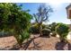 Side yard with gravel and small trees at 42899 W Whimsical Dr, Maricopa, AZ 85138