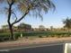 View of a neighborhood park with trees and open green space at 12221 N 122 Dr, El Mirage, AZ 85335