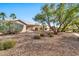 Landscaped backyard featuring gravel ground cover and mature trees at 15653 W Monterey Way, Goodyear, AZ 85395