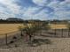 Community dog park with turf area, surrounded by black fencing, and desert landscaping at 1587 S 239Th Dr, Buckeye, AZ 85326