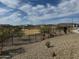 Community dog park area, enclosed with fencing for the enjoyment and safety of pets at 1587 S 239Th Dr, Buckeye, AZ 85326