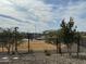 Turf area in the dog park bordered by wire fence with growing trees and homes in the background at 1587 S 239Th Dr, Buckeye, AZ 85326