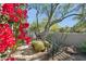 Landscaped garden path with vibrant bougainvillea and cacti at 19550 N Grayhawk Dr # 1136, Scottsdale, AZ 85255