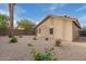 Landscaped backyard with gravel and drought-tolerant plants at 3257 W Five Mile Peak Dr, San Tan Valley, AZ 85144