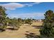 Community view showcasing green spaces and residential buildings at 4050 E Cactus Rd # 201, Phoenix, AZ 85032