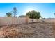 Dry, empty backyard with a perimeter wall and small trees at 16765 W Hadley St, Goodyear, AZ 85338