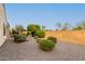 Landscaped backyard with gravel and shrubs at 20359 N 262Nd Dr, Buckeye, AZ 85396